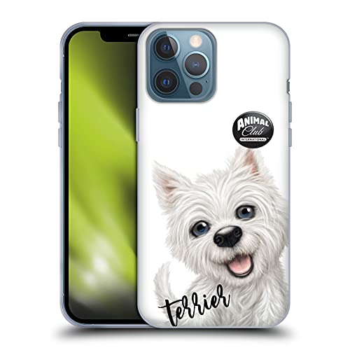 Terrier