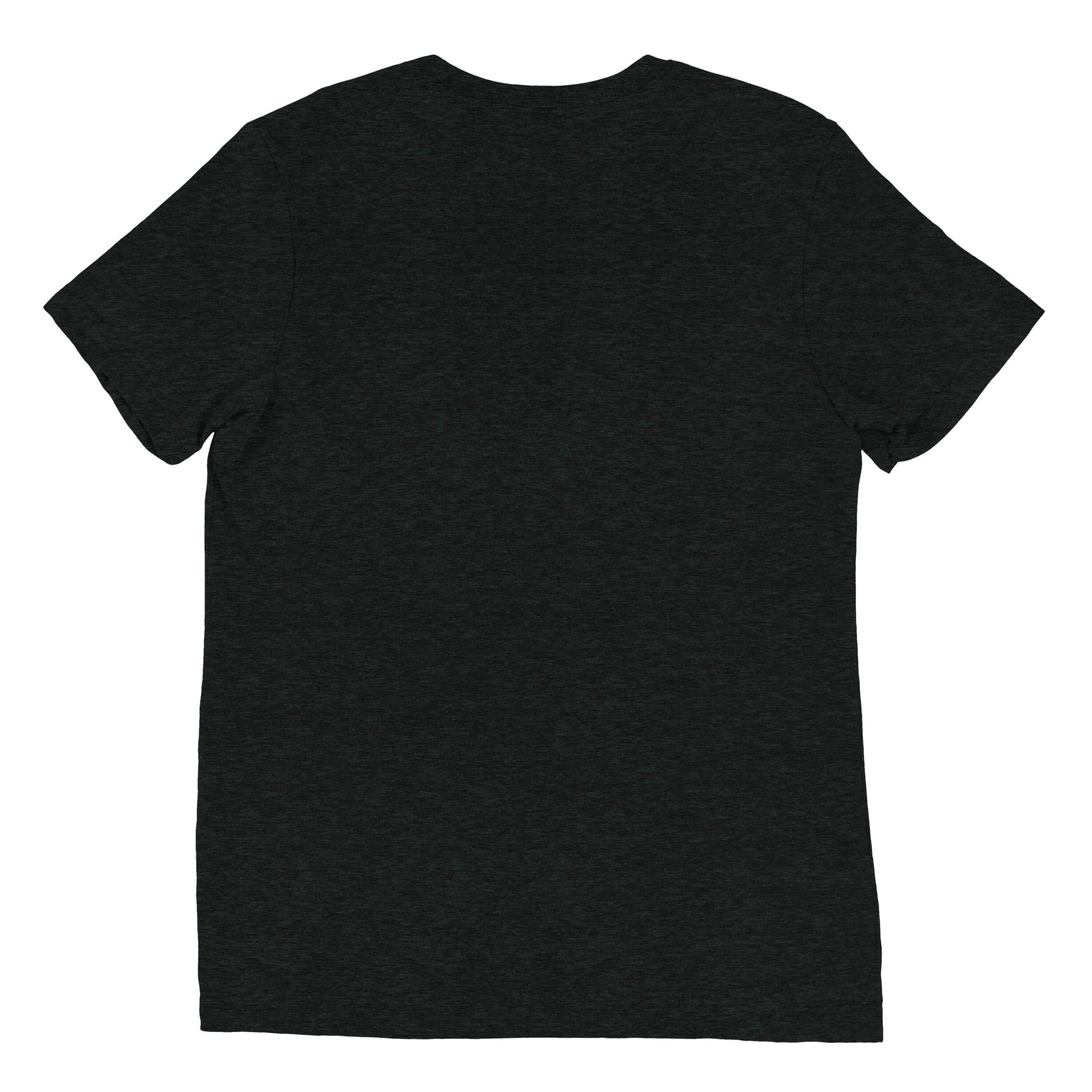 Flint Rogues RFC Triblend T-Shirt - Soft, Breathable & Stylish Men's Tee for Casual Wear, Sports & Everyday Comfort