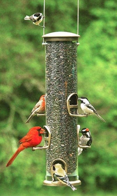 Large Capacity Wild Bird Feeder Tube - Durable Outdoor Bird Feeder for Backyard, Garden & Patio - Attracts Cardinals, Finches & Songbirds