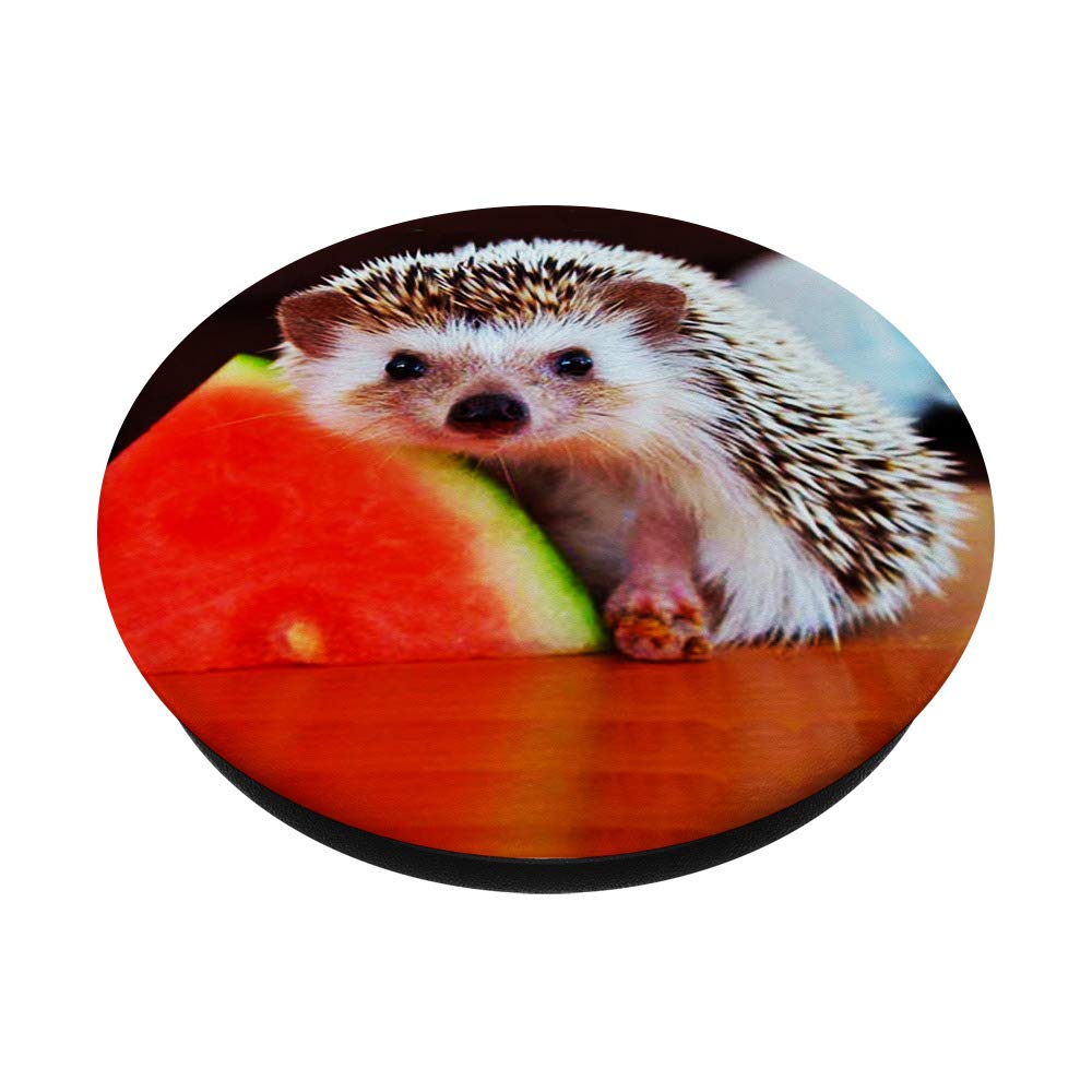 Adorable Hedgehog Pop Socket with Fruit Design - Swappable Phone Grip for iPhone, Samsung & Tablets - Perfect for Gaming, Selfies & Everyday Use