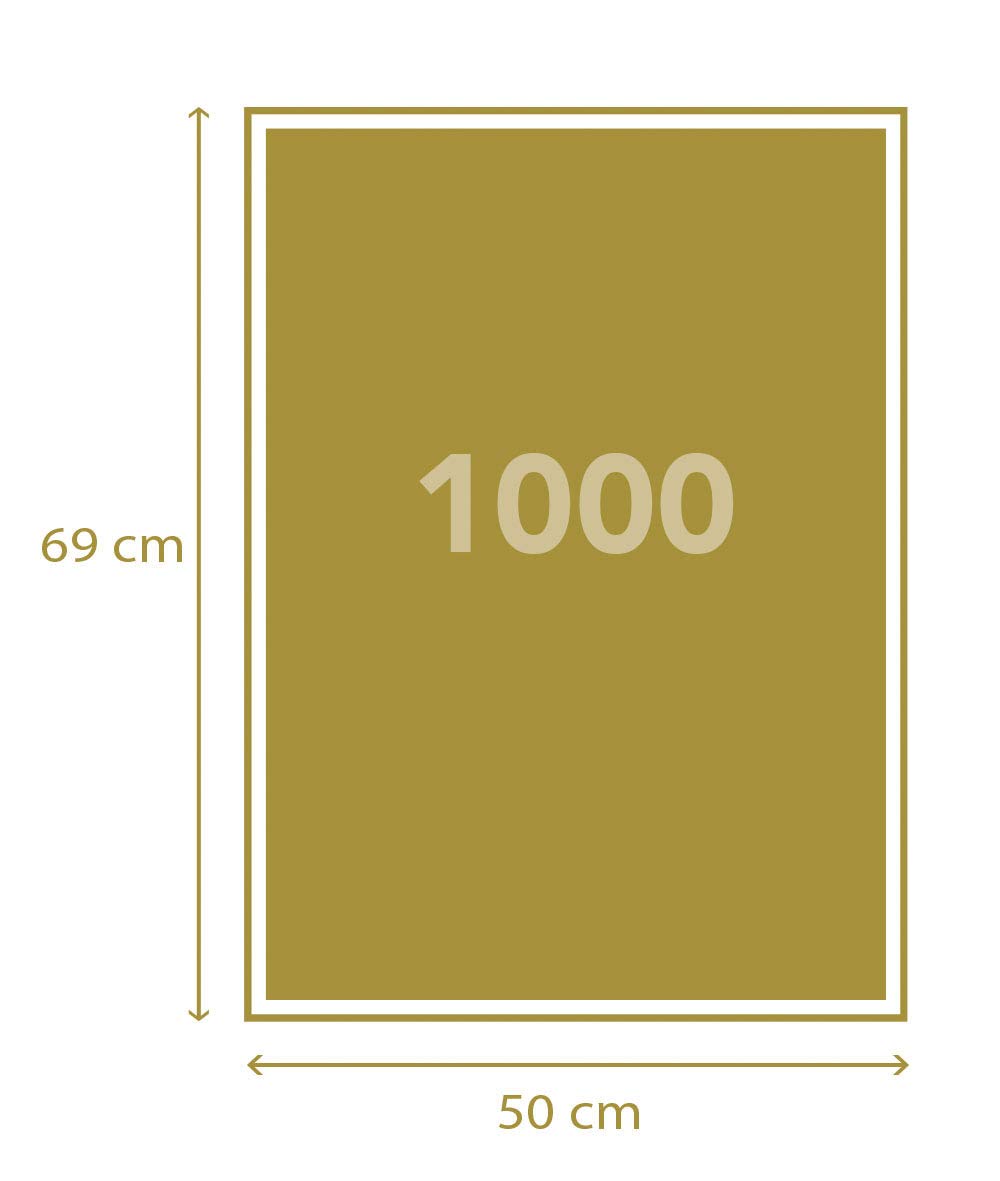 Clementoni 39603 Bibliodame 1000-Piece Adult Jigsaw Puzzle - Made in Italy - Perfect for Home Decor, Relaxation & Family Game Night