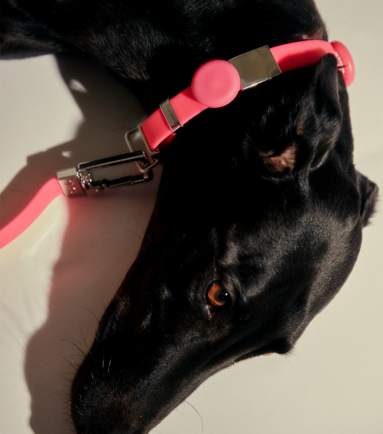 Universal Pet Safety Light - High Visibility LED Collar for Dogs & Cats - Perfect for Night Walks & Outdoor Adventures