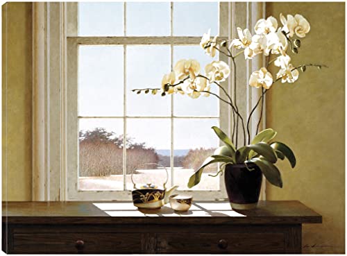 Orchids In The Window 2