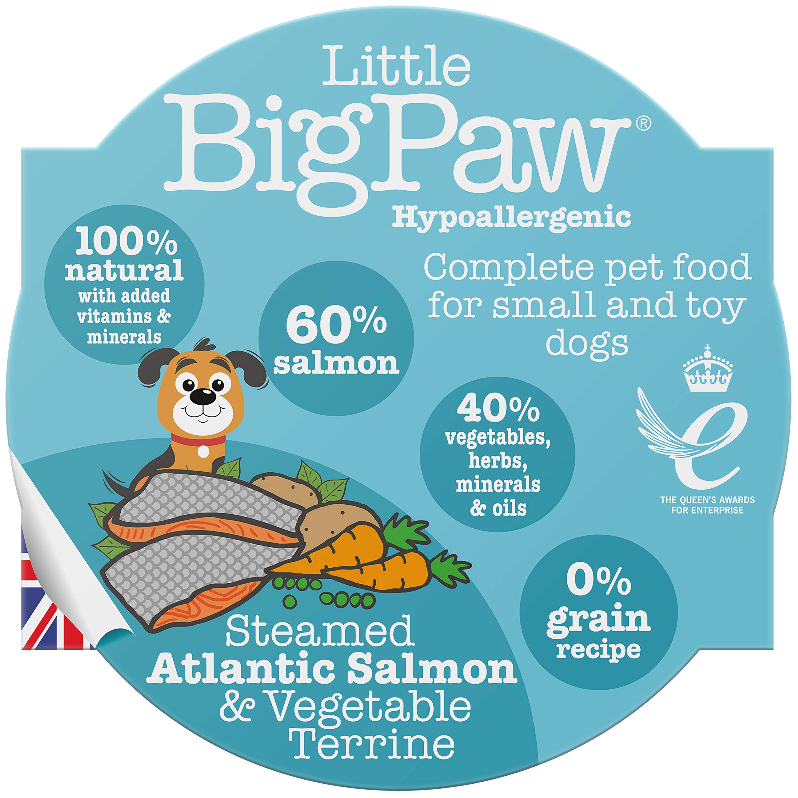 Durable Squeaky Dog Chew Toys for Large, Medium & Small Dogs - Tough Puppy Teething Toys for Aggressive Chewers - Perfect for Indoor Play, Outdoor Fetch & Training Rewards