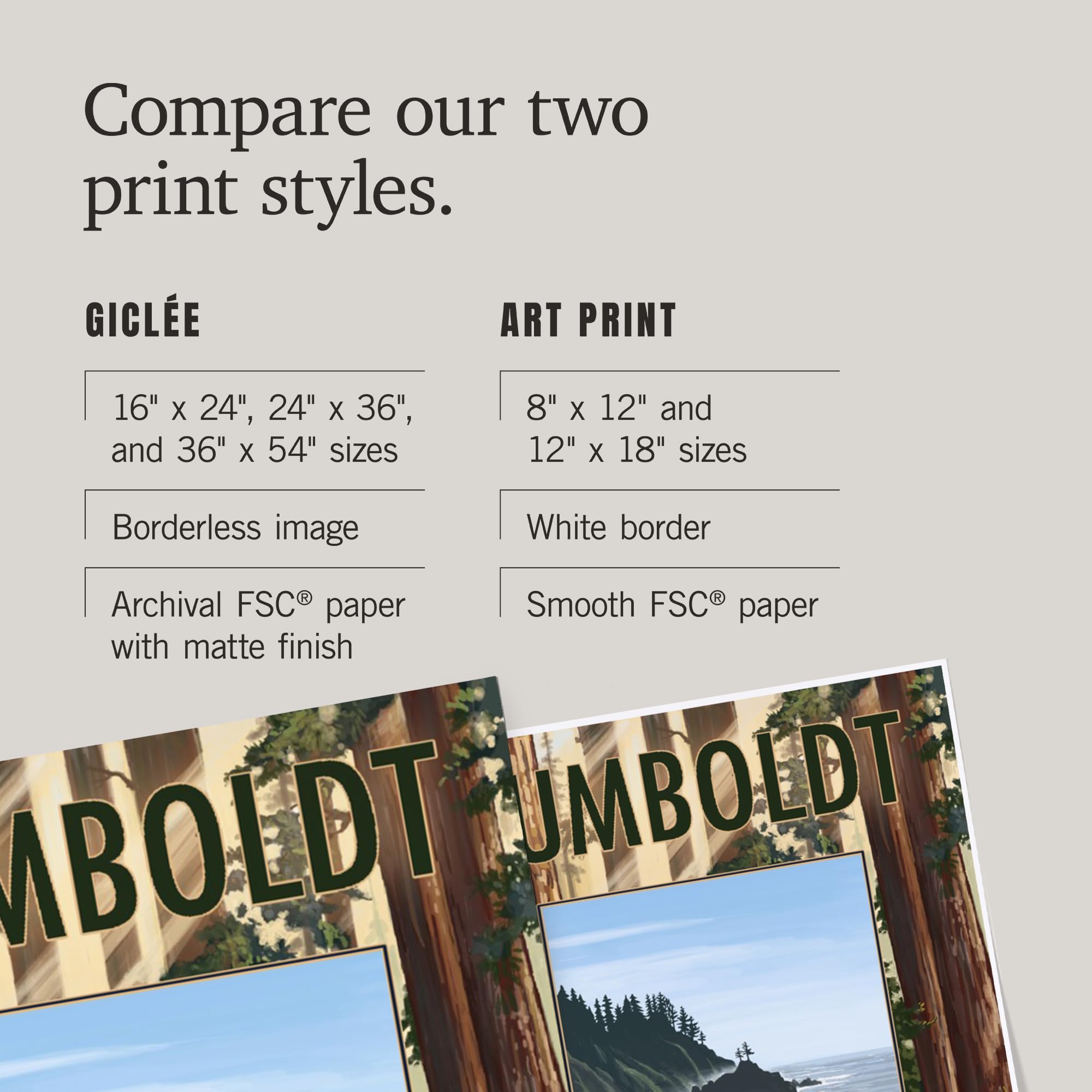 Lantern Press 16x24 Inch Giclee Art Print - Humboldt County California Redwoods & Beach Landscape Wall Decor | Perfect for Living Room, Bedroom or Office