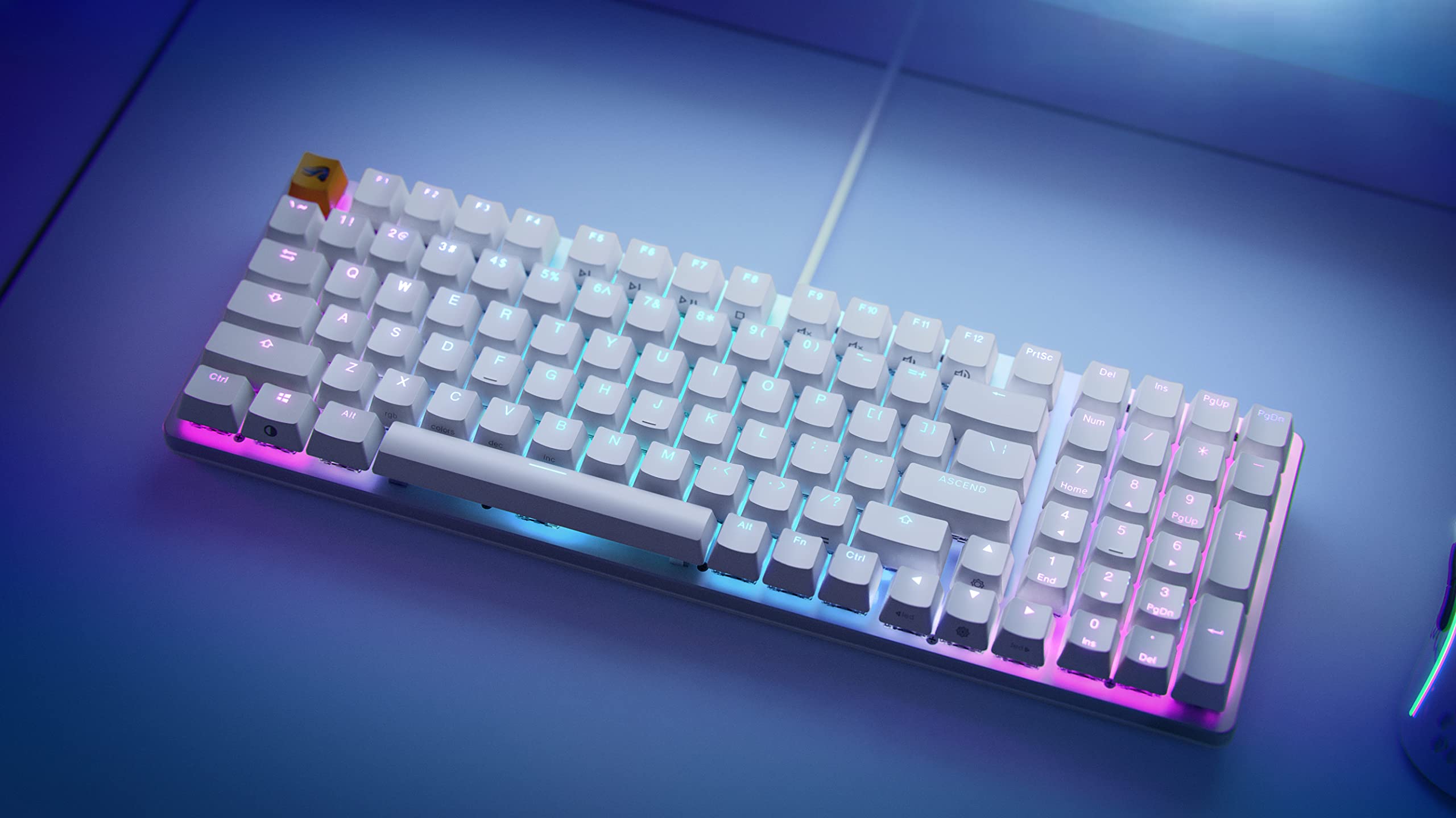 Glorious GMMK 2 TKL Hot Swappable Mechanical Gaming Keyboard with Red Switches - Wired Compact 87-Key Keyboard (White, Renewed) - Perfect for Esports, Typing & Office Work
