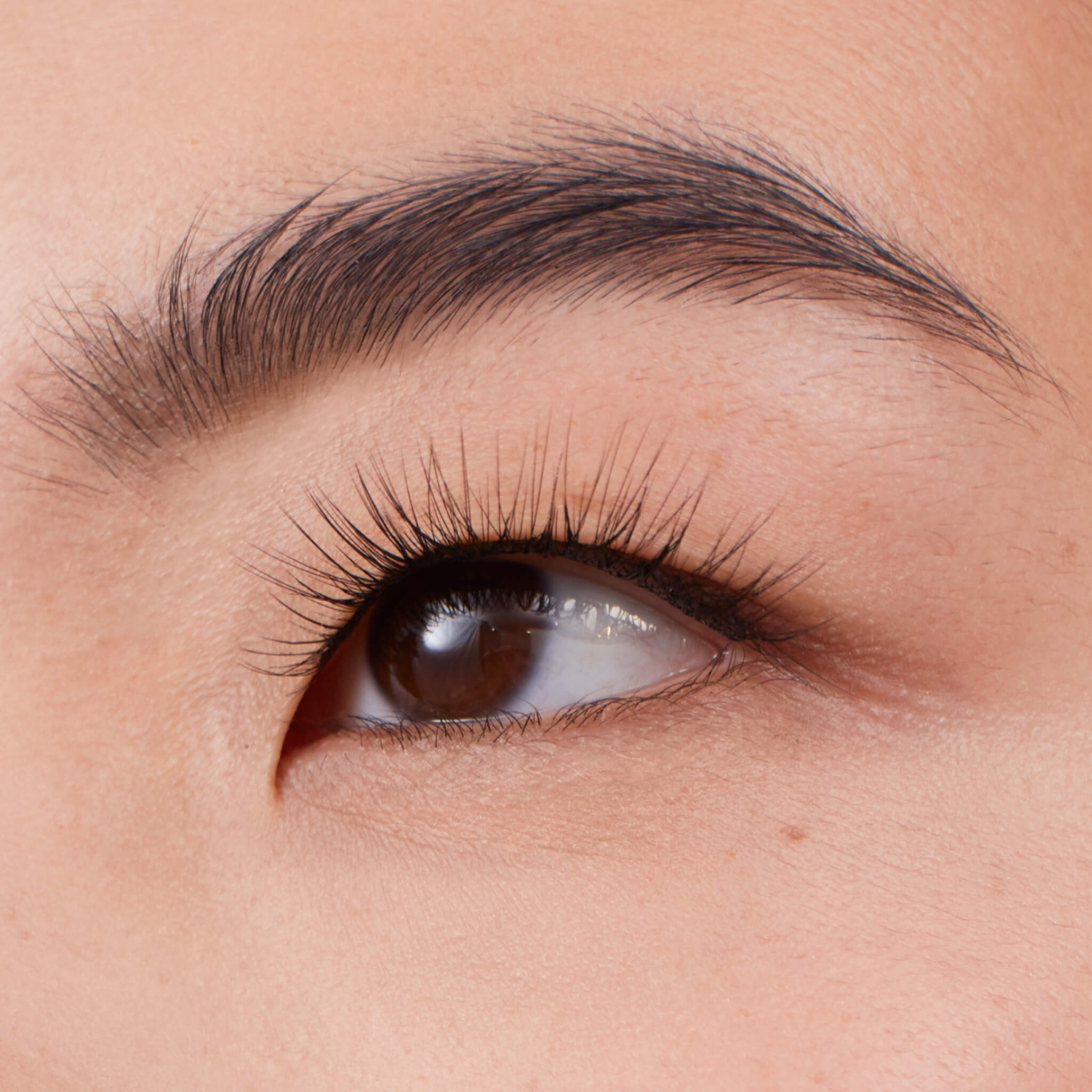 Plus+ Gossamer® Lash - Natural Looking False Eyelashes for Dramatic Volume & Length | Perfect for Weddings, Parties & Everyday Glam