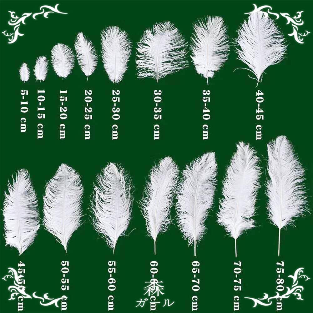 Premium White Ostrich Feathers for Wedding Centerpieces, Party Decor, Easter & Gatsby Themed Events - 22-24 Inch Long - Elegant Home & Event Decoration