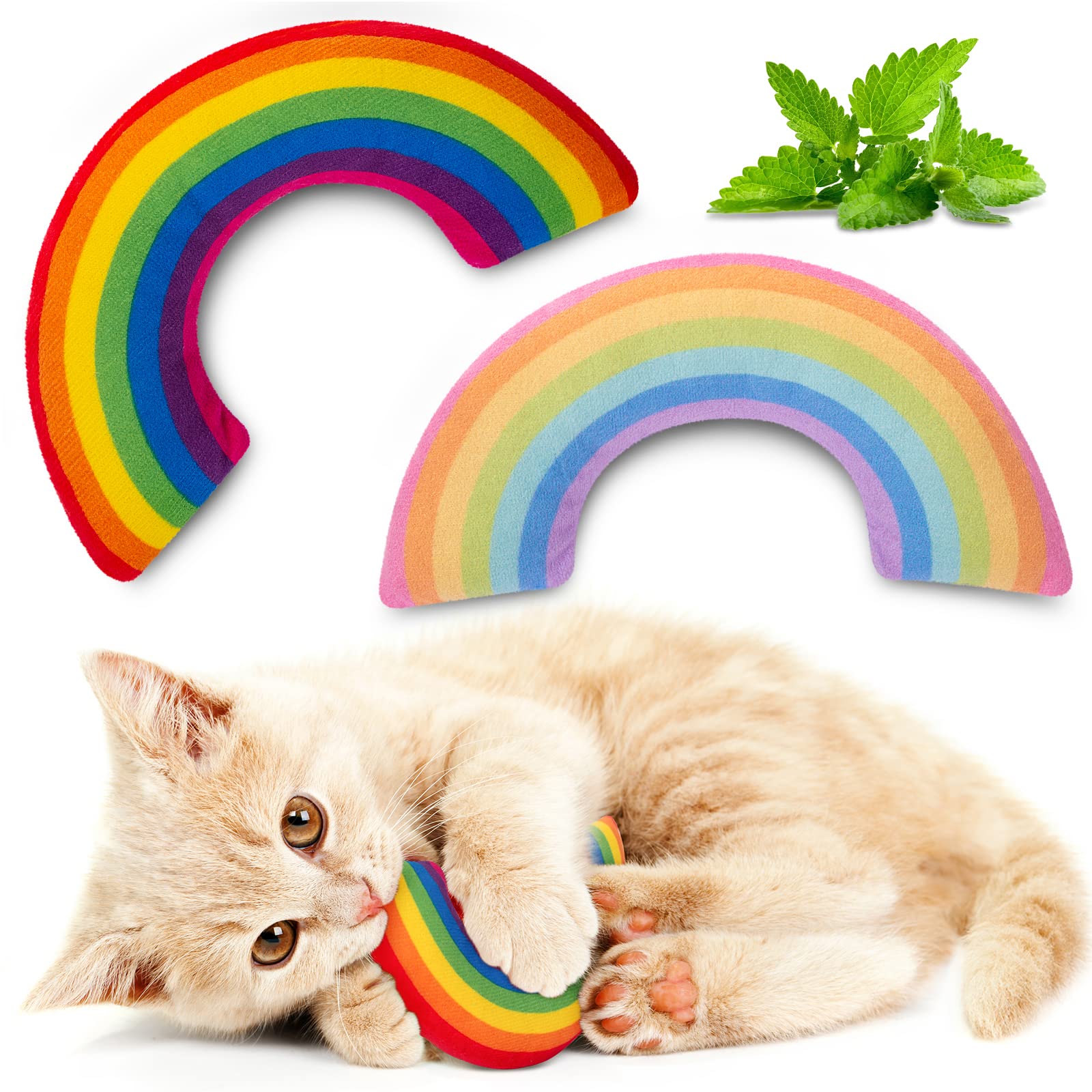 Premium Catnip Toys for Indoor Cats - 2 Pack Interactive Teething Chew & Pillow Toys with Natural Catnip - Stimulating Play for Kittens & Adult Cats (Perfect for Boredom Relief & Dental Health)