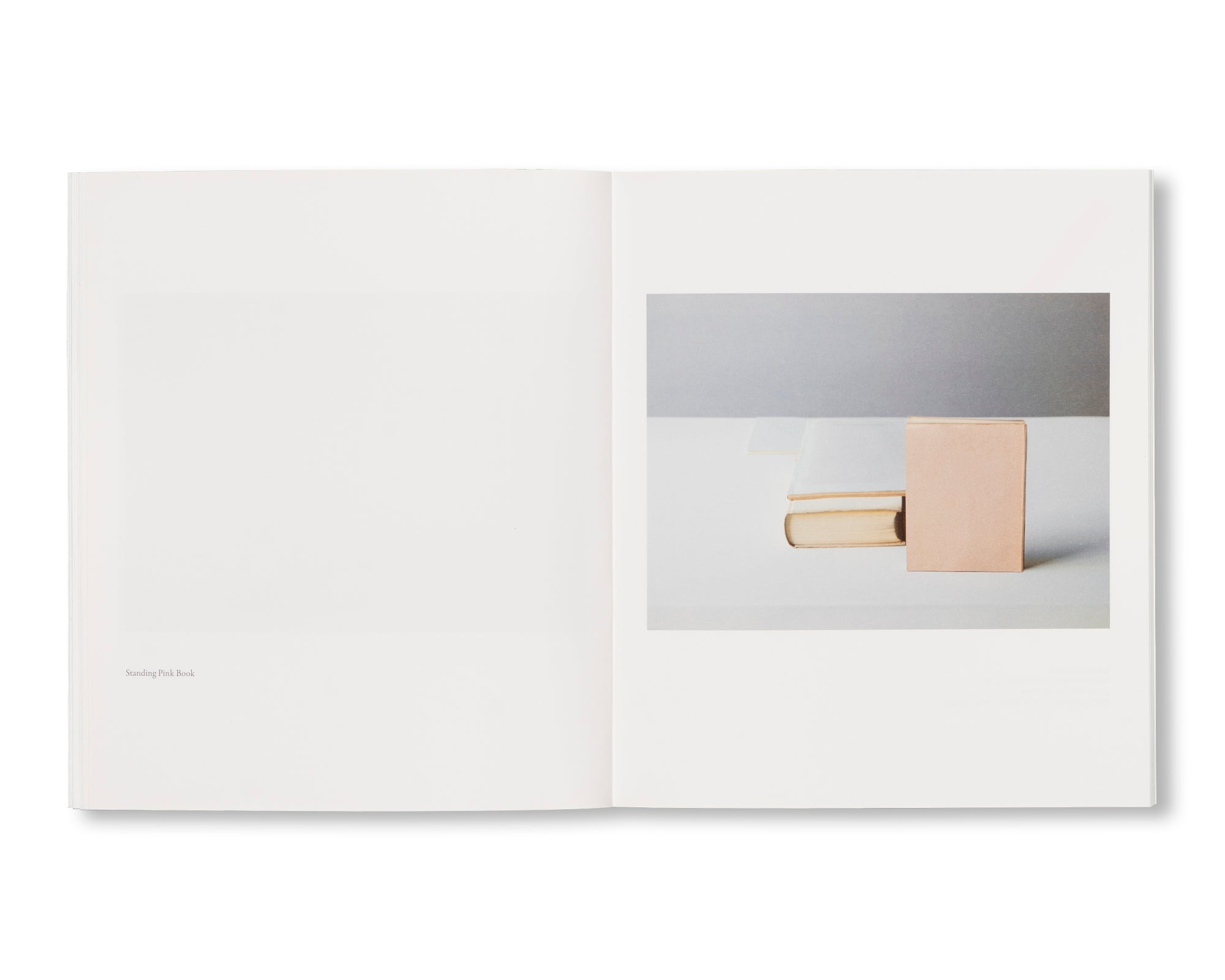MORANDI’S BOOKS by Mary Ellen Bartley - Art Photography Book Collection for Home Decor, Coffee Table Display & Gift Ideas