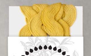 Soft Yellow