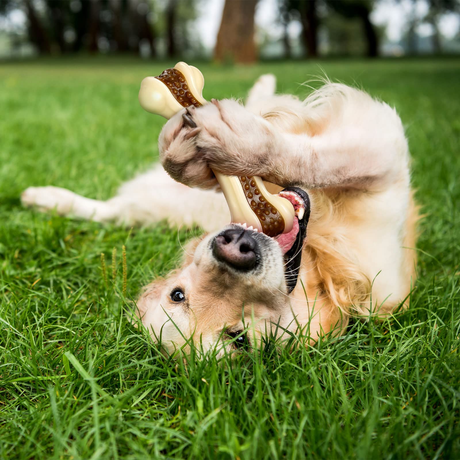 **Durable Nylon Dog Chew Toys for Aggressive Chewers - 2 Pack Beef-Flavored Bones for Small, Medium & Large Breeds - Teething & Dental Health - Perfect for Playtime & Training (Medium, Curved Bone)**