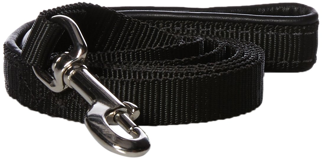 Dean & Tyler DT Fun Chest Support Harness for Dogs - Medium Size with 6ft Padded Leash | Adjustable Pet Harness for Walking, Training & Outdoor Adventures