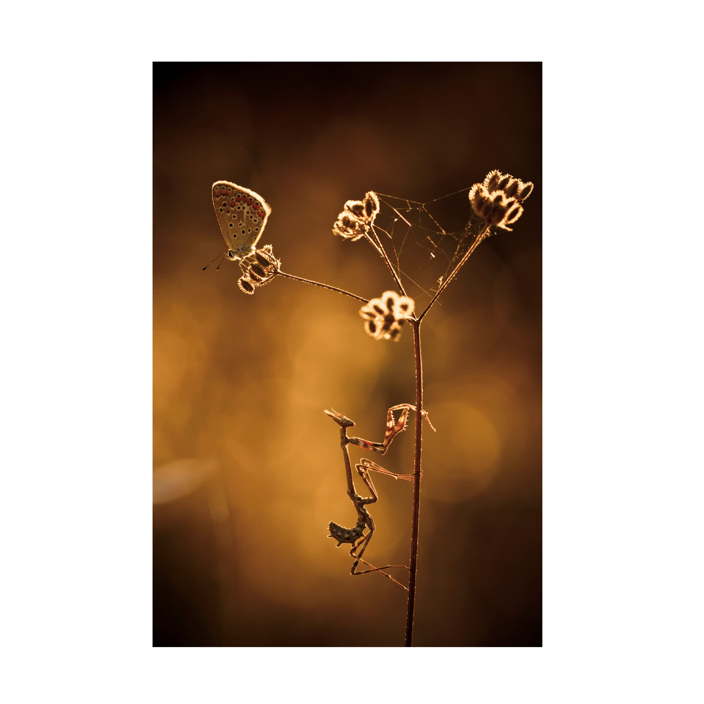 Fabien BRAVIN 'All I Want Is You' Canvas Wall Art Print - Romantic Couple Painting for Bedroom, Living Room & Home Decor - Perfect Gift for Anniversary & Valentine's Day