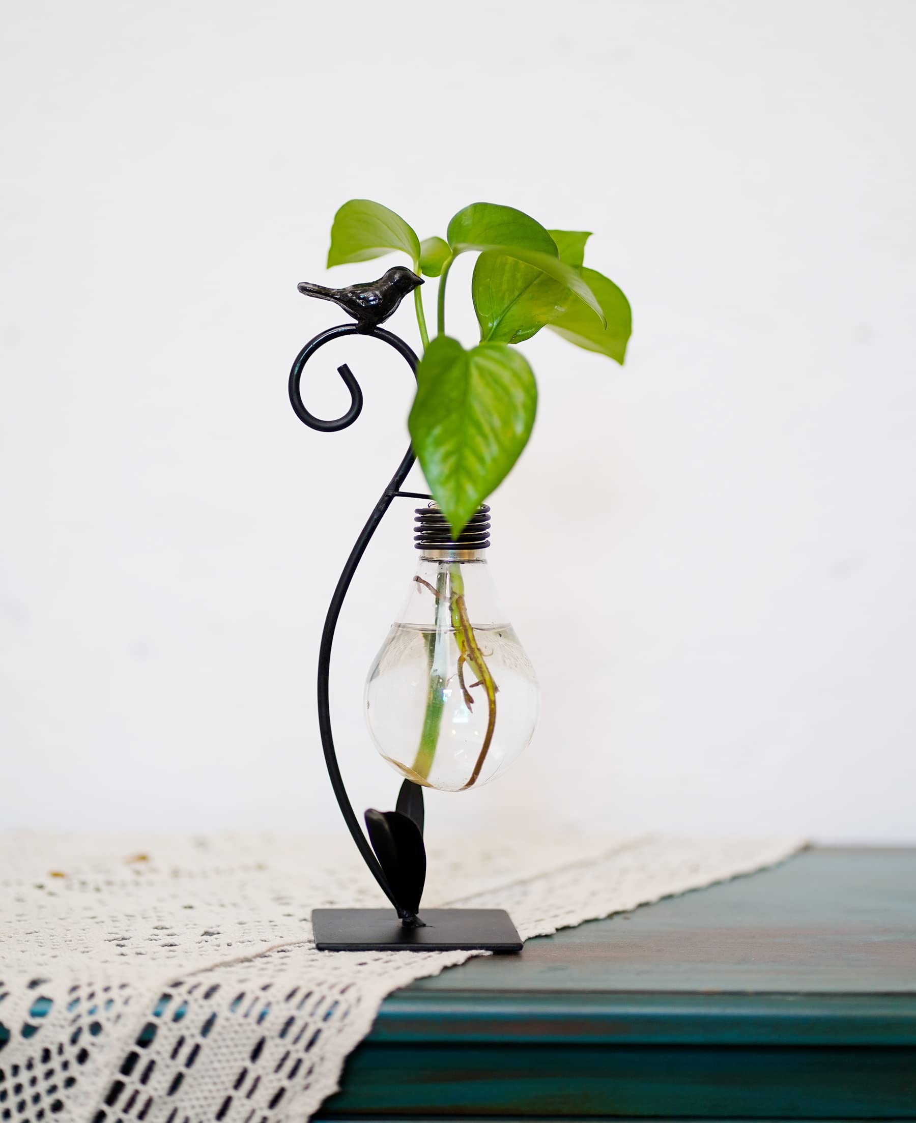 Modern Plant Terrarium & Hydroponic Vase - Desktop Planter Propagation Station for Home & Office Decor | Creative Bird-Shaped Plant Holder Stand | Perfect Gardening Gift for Plant Lovers (Ideal for Indoor Plants, Succulents, Air Plants & Home Decor)