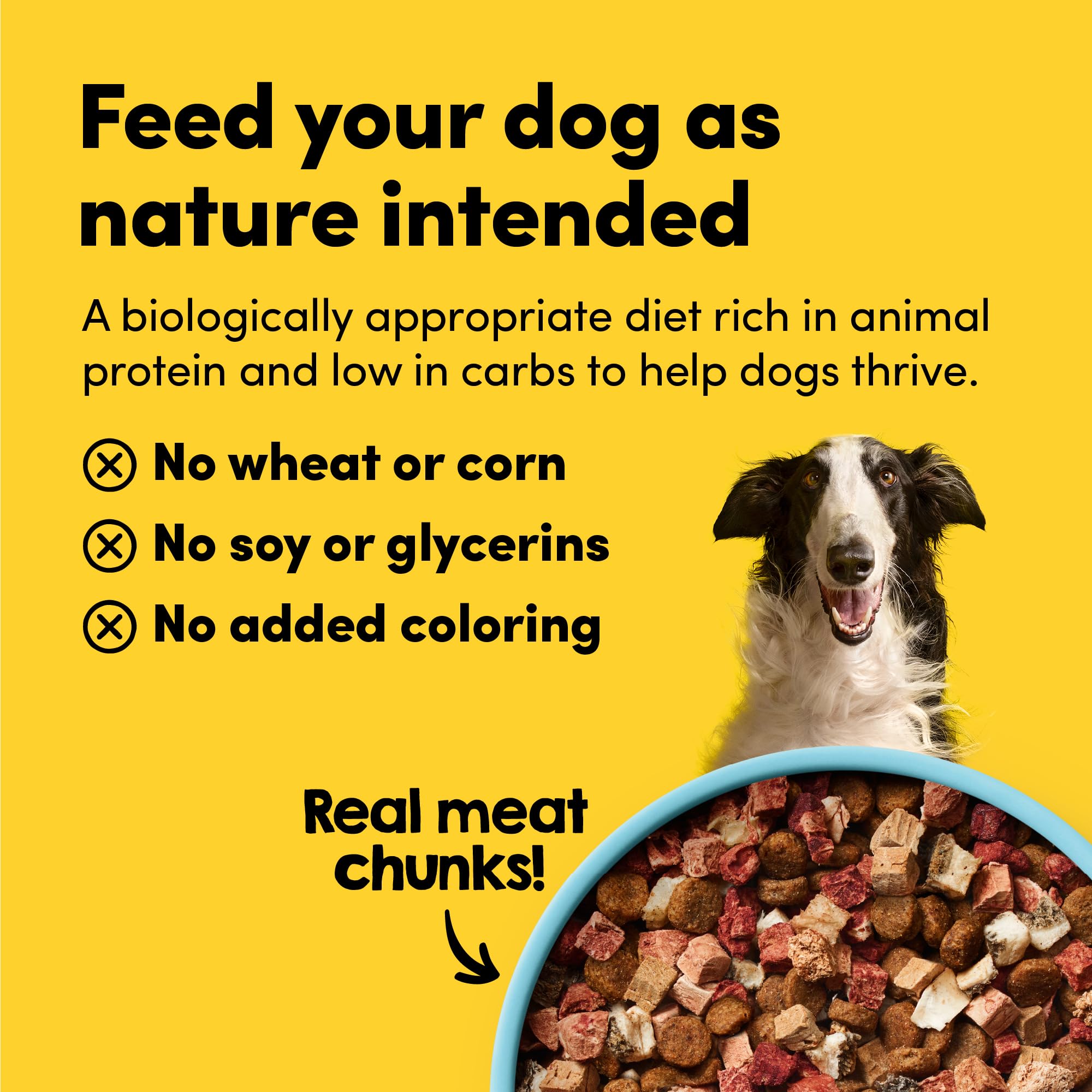 Premium Freeze-Dried Raw Grass-Fed Beef Dog Food - High Protein, Grain-Free, Non-GMO with Kibble - 12 oz for Small & Large Dogs - Perfect for Training Treats & Meal Toppers
