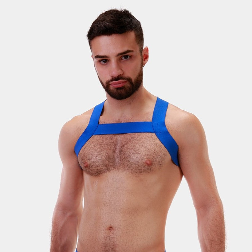 Premium Blue Matt Barcode Berlin Dog Harness - Durable & Comfortable for Small to Medium Dogs - Perfect for Walking, Training & Outdoor Adventures