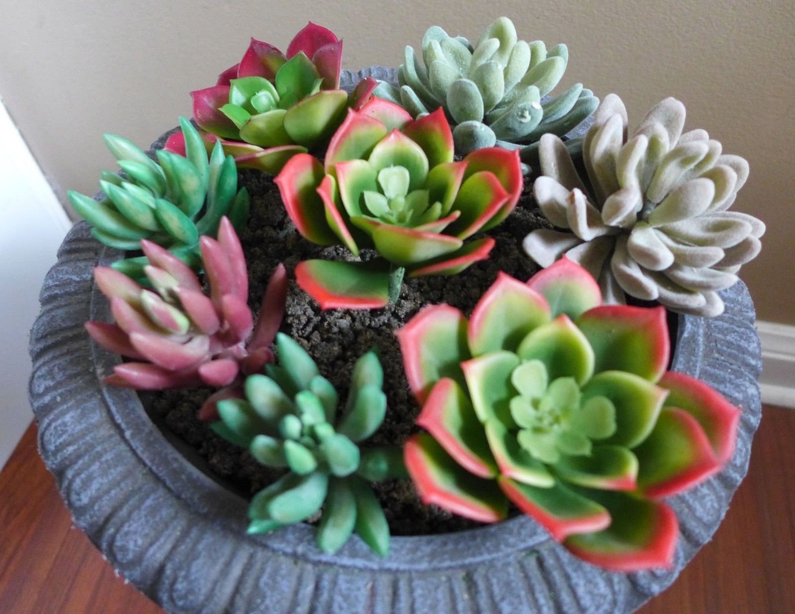 Artificial Mini Plants - Unkillable Succulents & Grass for Home Decor, Office Desk, and Indoor Greenery | Low Maintenance Fake Plants for Table Centerpieces and Shelf Displays