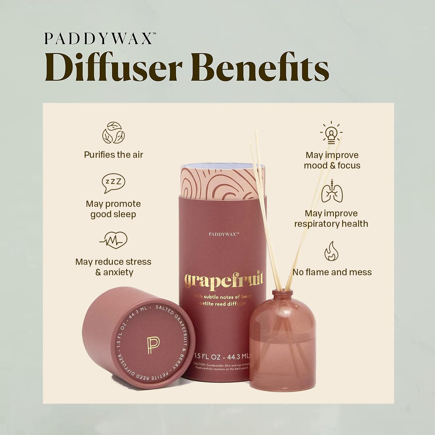 Paddywax Candles Petite Collection | Rose & Grapefruit Reed Diffuser for Home | Aromatherapy for Bedroom, Bathroom & Living Room Decor