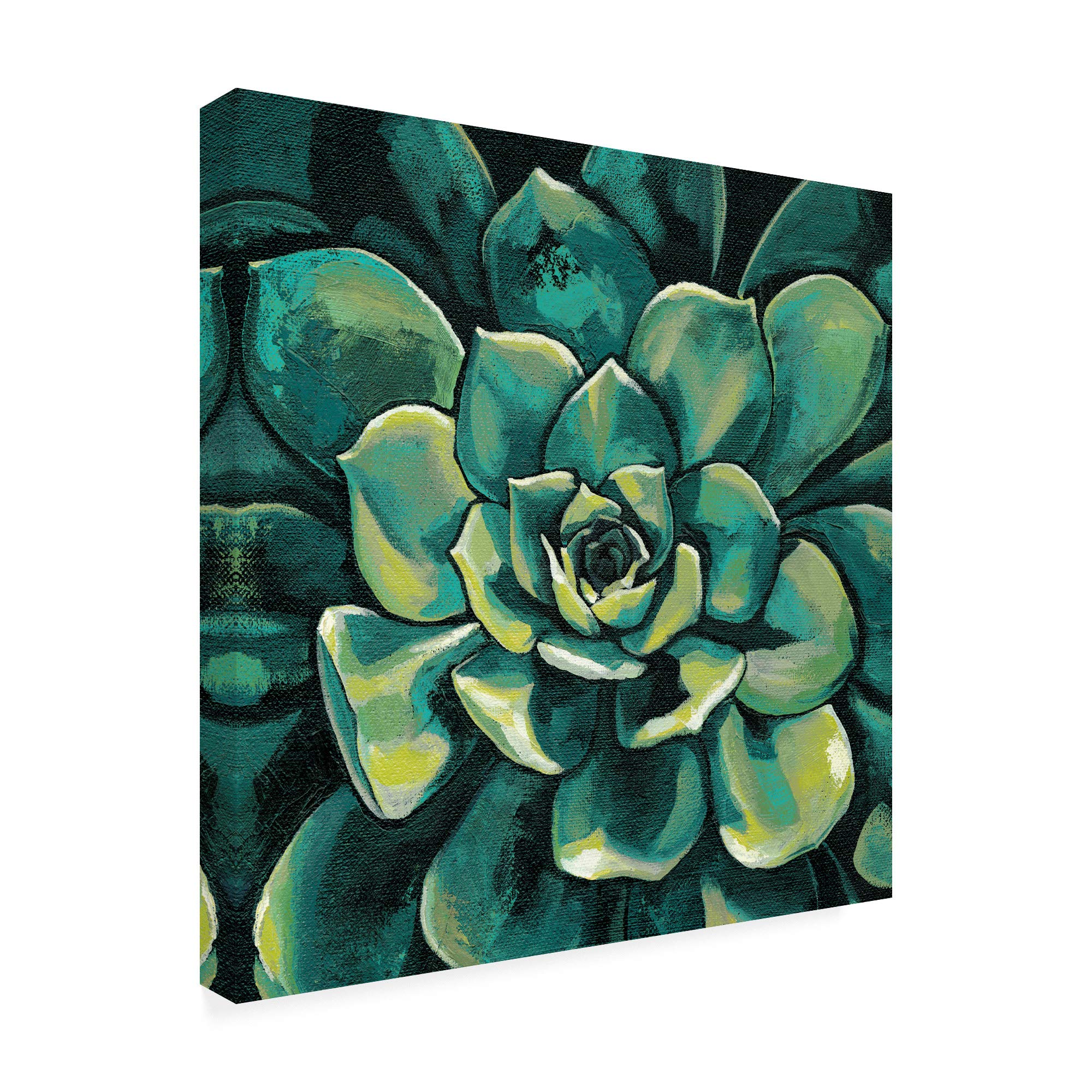 Trademark Fine Art - 18x18 Succulent Bloom I by Megan Meagher - Vibrant Floral Wall Decor for Living Room, Bedroom & Office