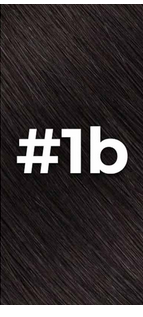 1B