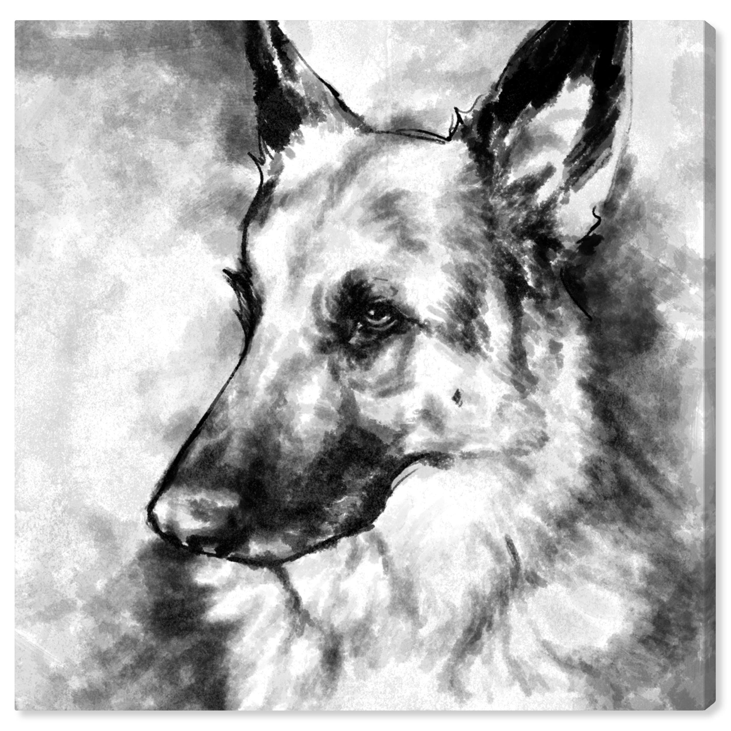Oliver Gal Artist Co. German Shepherd Wall Art Canvas Print - 12x12 Inch Black & White Animal Home Decor for Living Room, Bedroom, Office & Nursery