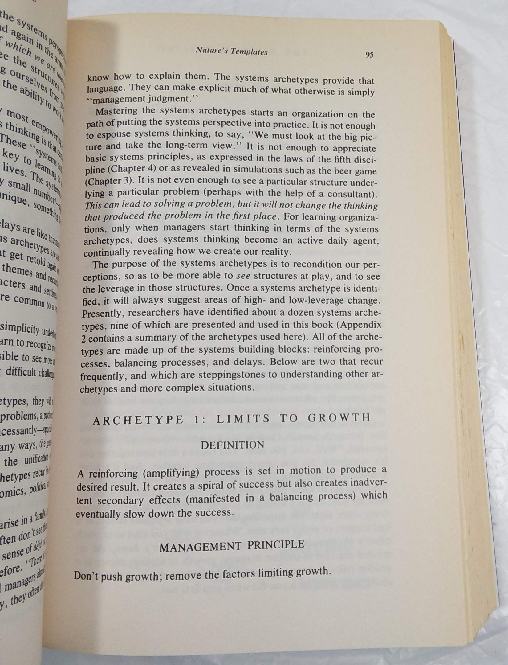 The Fifth Discipline: The Art & Practice of the Learning Organization - Essential Guide for Business Leaders and Team Development