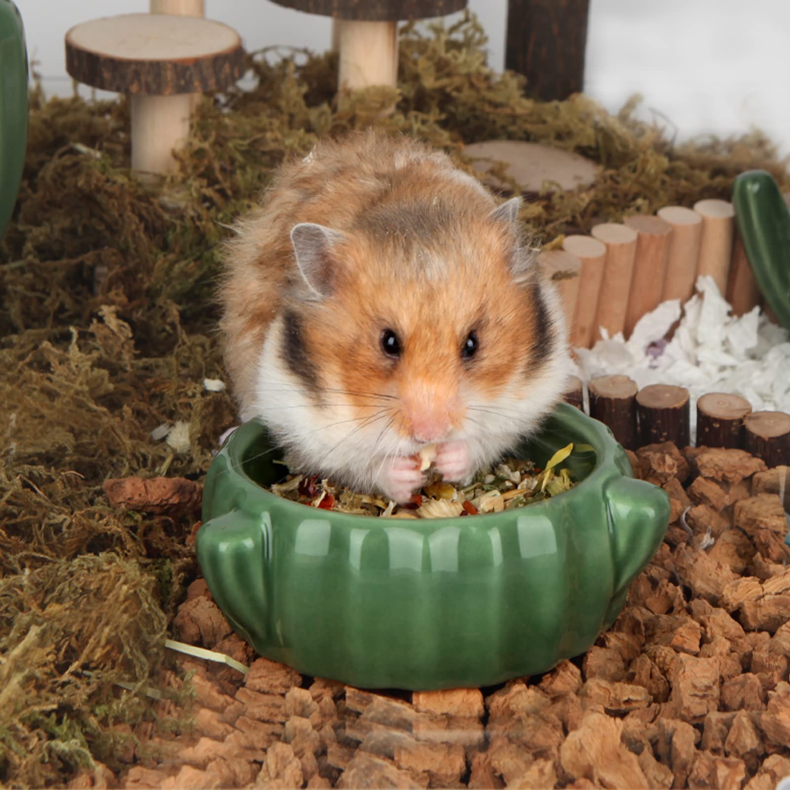 BUCATSTATE 2-Pack Ceramic Hamster Food Bowl - Waterproof Small Animal Feeding Dish for Hamsters, Guinea Pigs, Birds & Chipmunks | Durable Cactus Design Pet Bowl for Cage, Terrarium & Outdoor Use
