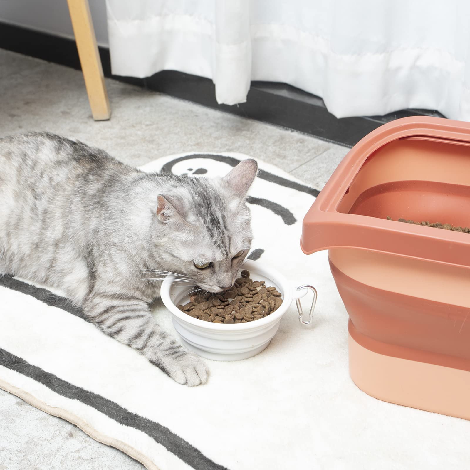10-13 Lbs Collapsible Dog Food Storage Container with Sliding Lid - Includes Scoop & Silicone Bowl - Airtight Pet Food Storage for Dogs, Cats & Small Animals (Red) - Perfect for Travel, Camping & Home Kitchen Organization