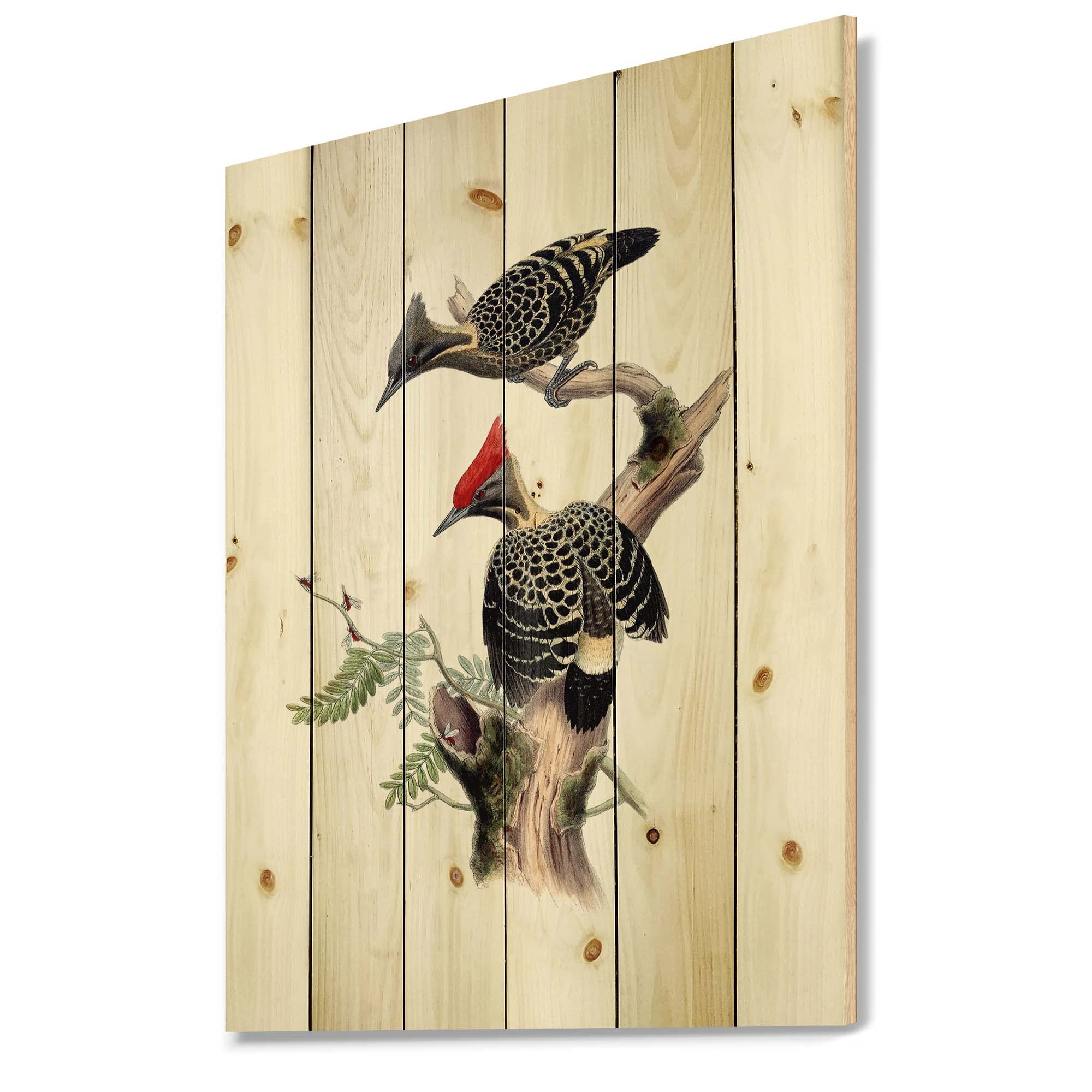 Vintage Birds in the Wild Traditional Wood Wall Decor - Black Wood Wall Art with Large Animal Prints on Natural Pine Wood - Perfect for Living Room, Bedroom, or Office Decoration