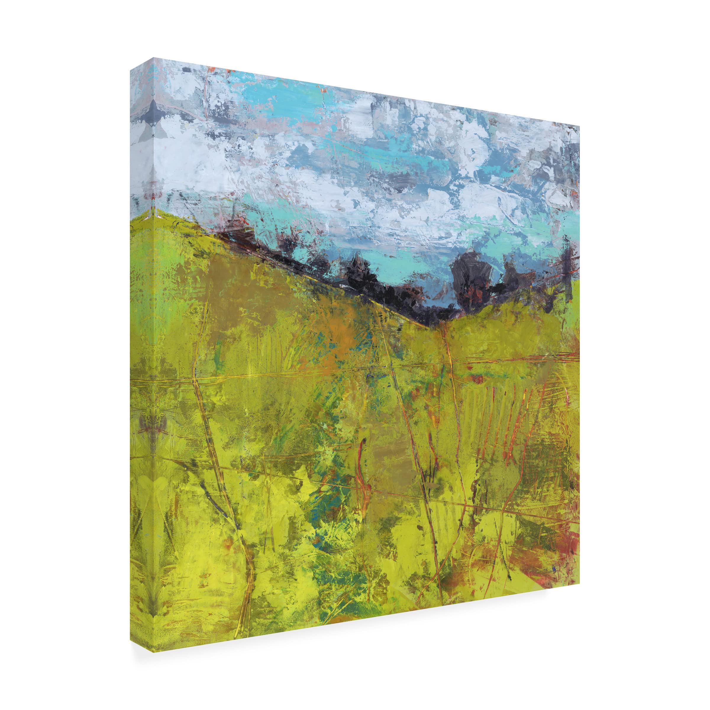 Trademark Fine Art 'Summer Sky' Canvas Wall Art by Linda Nickell - Stunning Landscape Painting for Living Room, Bedroom & Office Decor