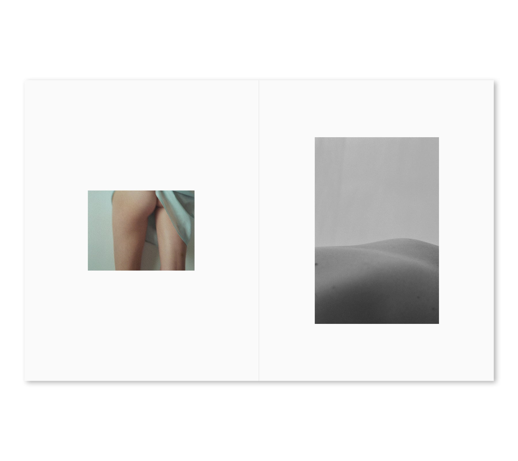 RAW by Anastasia Lisitsyna - Premium Photography Book for Artists & Photographers | Perfect for Creative Inspiration, Studio Decor & Gift Ideas