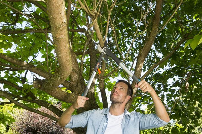 Gardena Ratchet Lopper SmartCut 8773 20