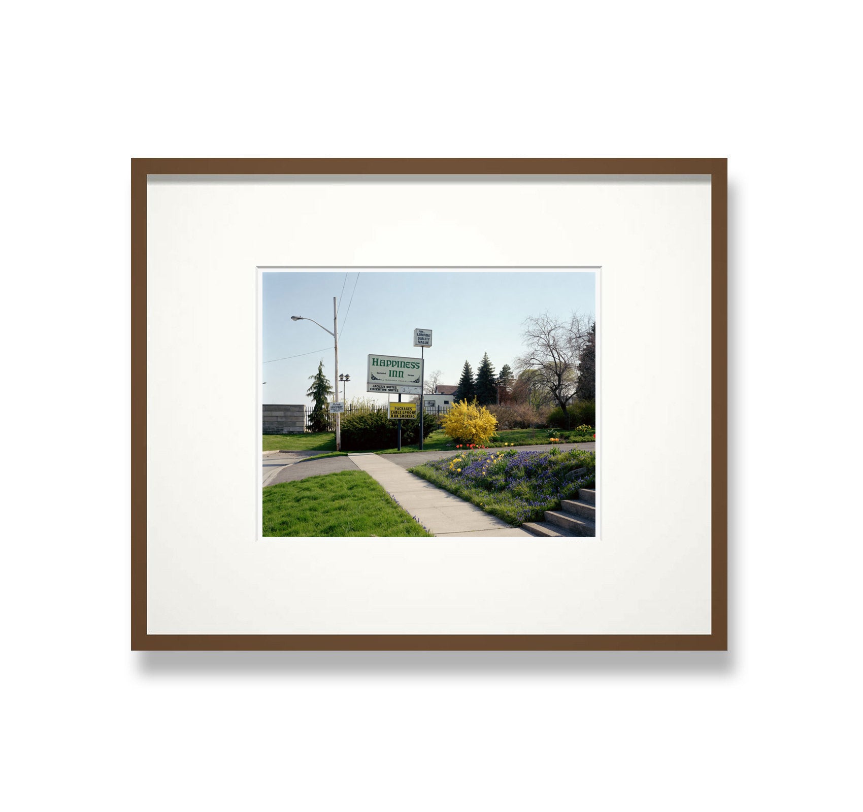 Alec Soth NIAGARA Photography Book - Special Limited Edition | Perfect for Art Collectors & Photography Enthusiasts