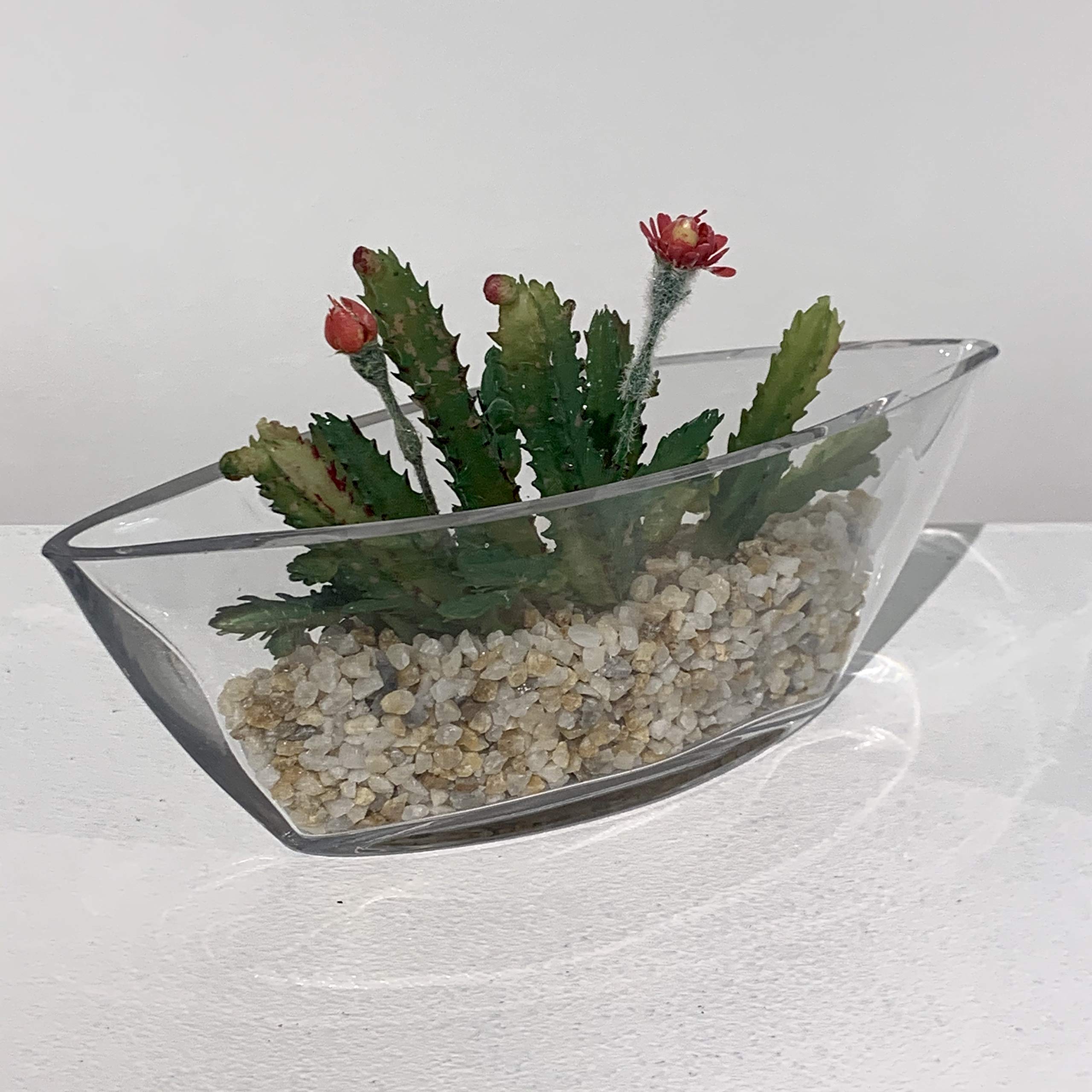 WGV Clear Glass Candle Holder - 8.25