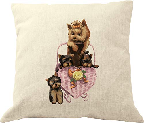 Yorkie