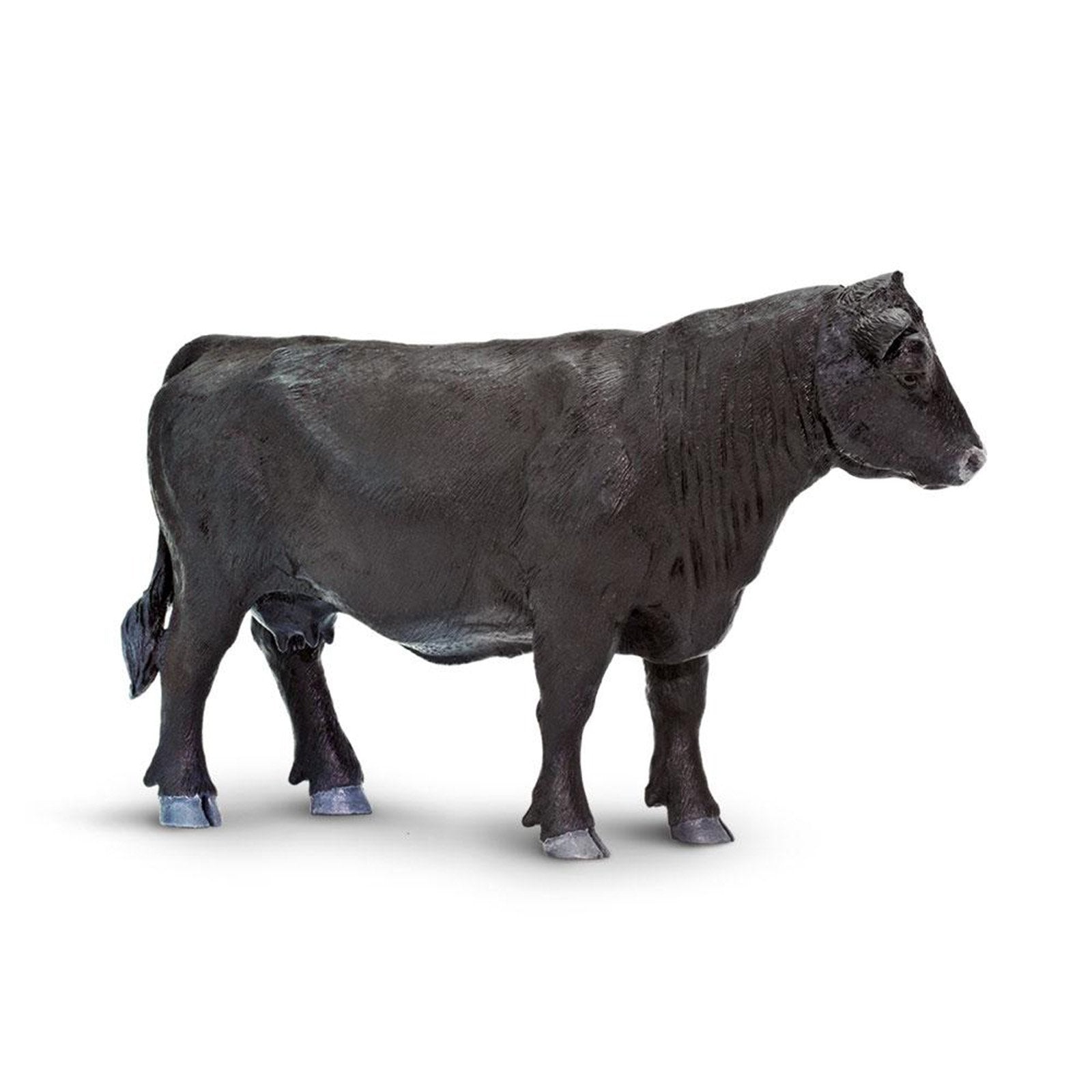 Authentic Angus Cow Animal Figure by Safari Ltd (160829) - Realistic Farm Animal Toy for Kids, Educational Play & Farm-Themed Collections