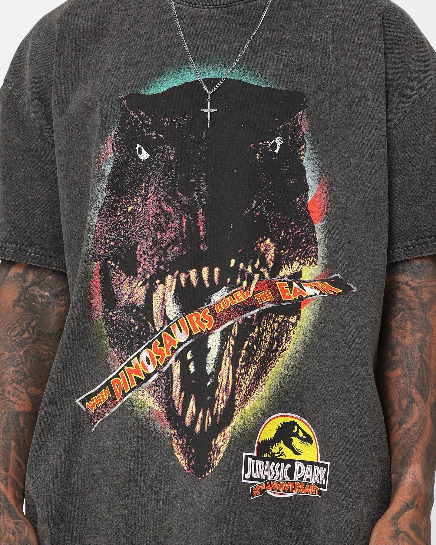 American Thrift Jurassic Park 30th Anniversary Vintage Heavyweight T-Shirt - Black Wash | Retro Movie Tee for Fans, Casual Wear & Pop Culture Enthusiasts