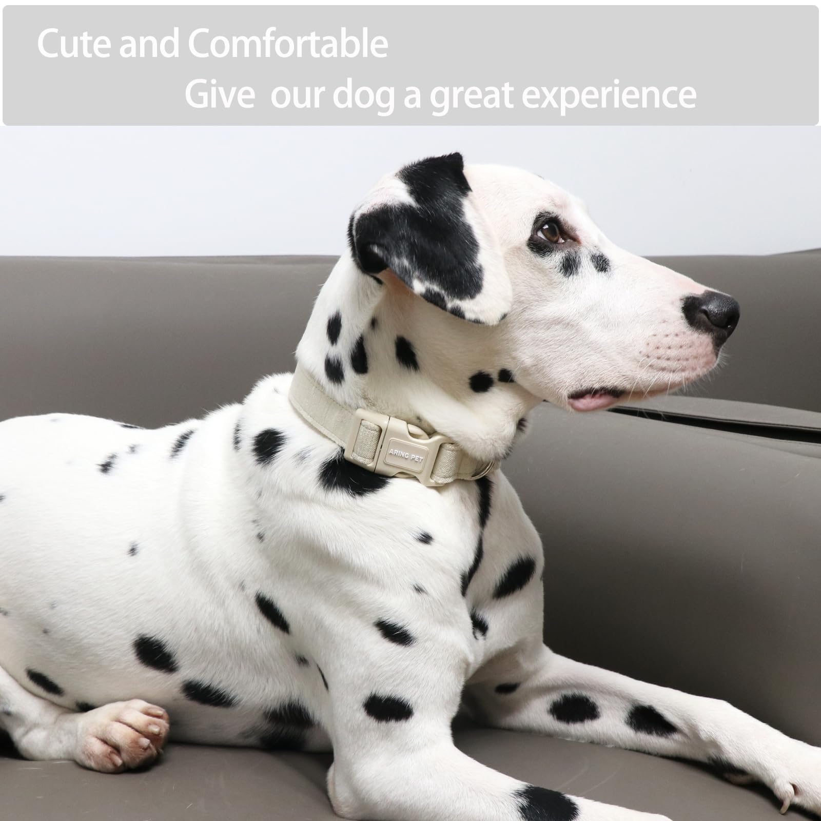 Soft Cotton Dog Collar with Quick Release - Comfortable for Small Medium Large Dogs - Perfect for Walks & Training