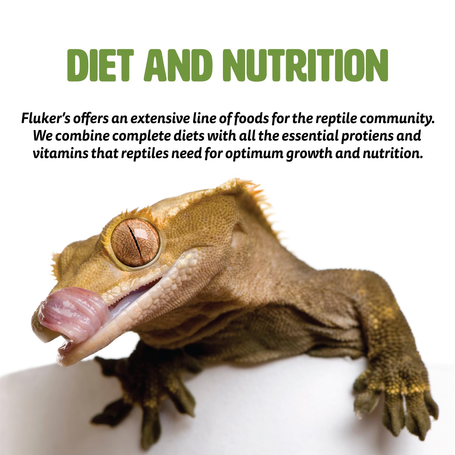 Fluker's Aquatic Turtle Buffet Blend Feeding Frenzy Sticks - 11.5 oz Nutritious Turtle Food for Red-Eared Sliders & Water Turtles - Perfect for Daily Feeding & Tank Enrichment