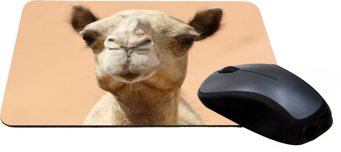 Camel Face Close Up Design Lightning Series Gaming Mouse Pad (MPSQ-RK-1122) - Large Non-Slip Rubber Base for PC, Laptop, Office & Esports Gaming