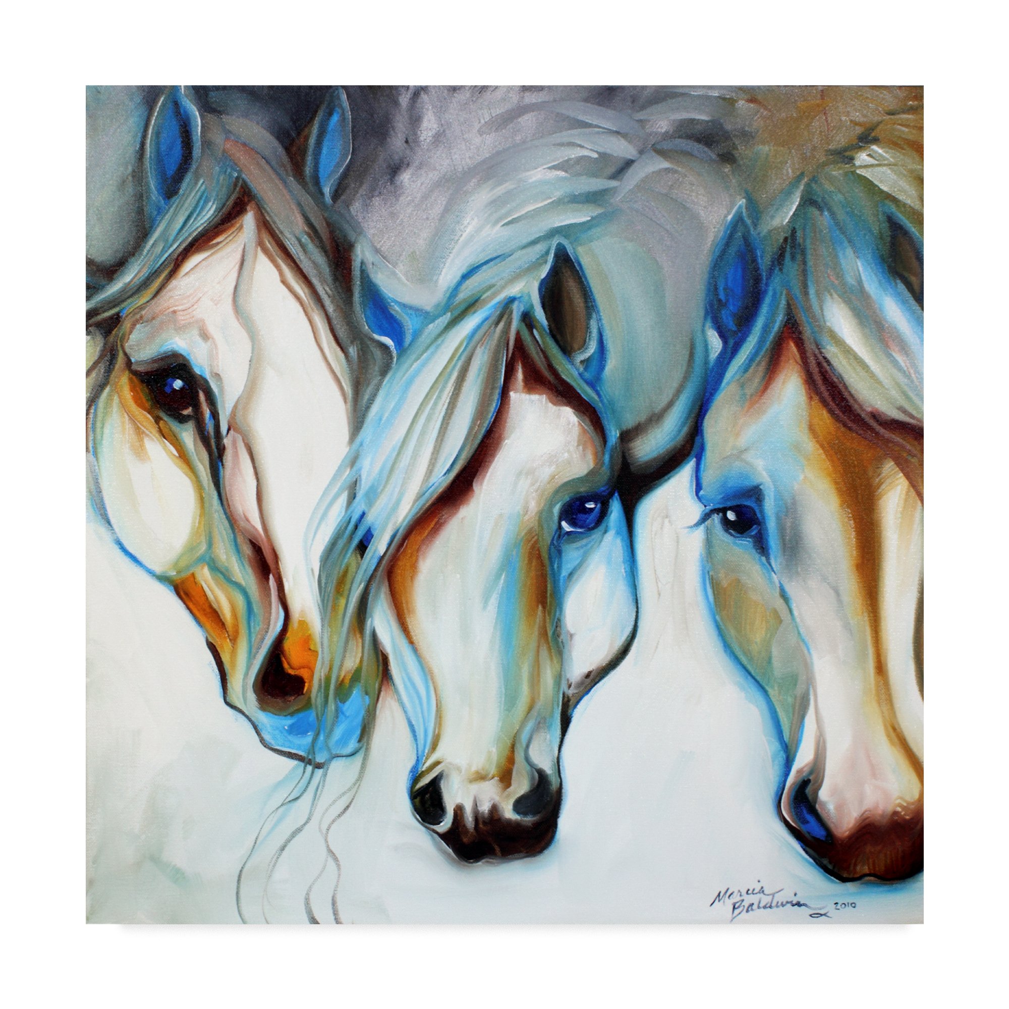 Trademark Fine Art Marcia Baldwin Multicolor Canvas Print - Perfect for Home Decor, Office & Living Room Wall Art