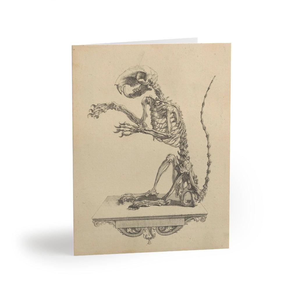 Halloween Rat Skeleton Greeting Cards - 10 Pack Spooky Gothic Stationery for Horror Fans, Halloween Party Invitations & Gothic Home Decor