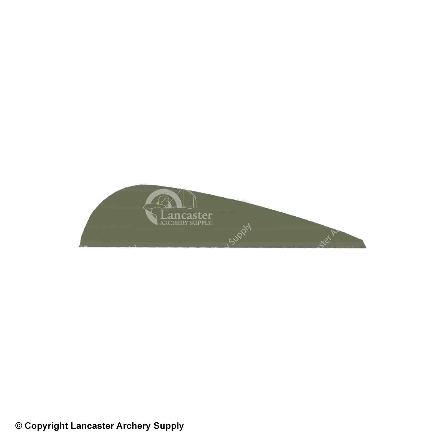 AAE Elite Plastifletch 16 and 23 Vanes (100 Pack) - High-Performance Archery Vanes for Hunting and Target Practice