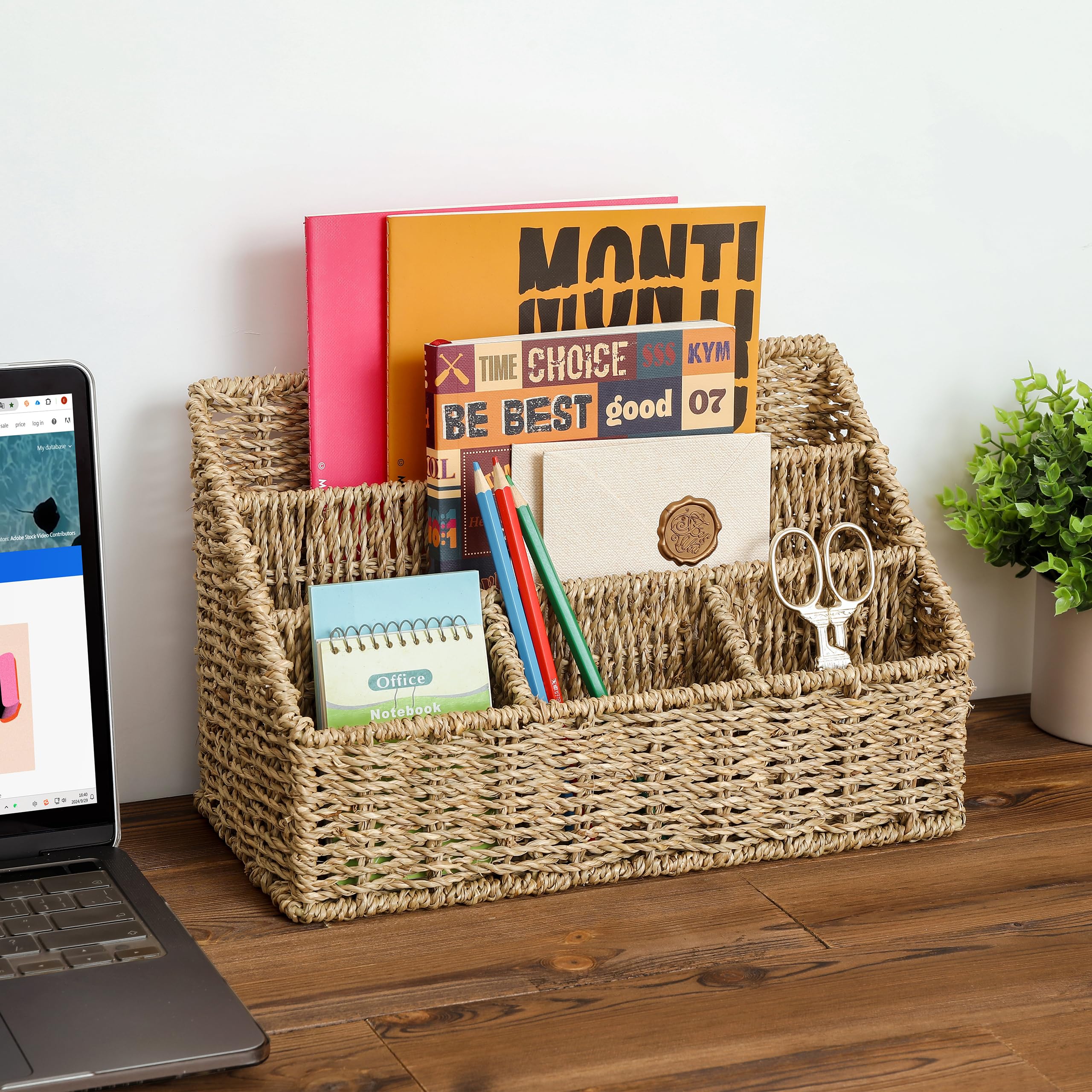 Seagrass Mail Organizer - Desktop Bill Sorter, Magazine File Holder & Pencil Organizer | Perfect for Home Office, Study Desk, and Mail Station Organization