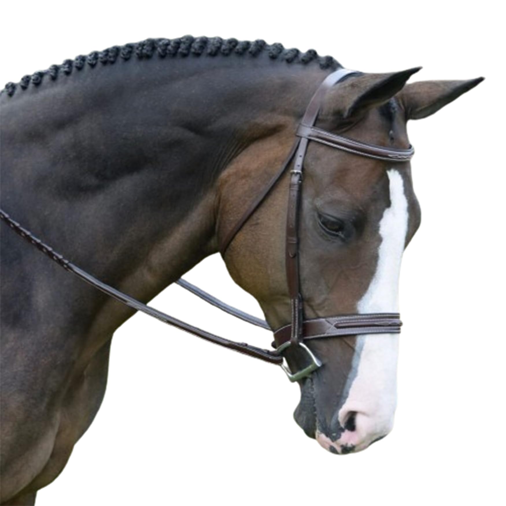 Premium Mewati Equestrian Hunter Bridle - Square Raised Fancy Stitch with Laced Reins for Medium/Cob Horses | English Riding, Show Jumping & Dressage Competition Gear