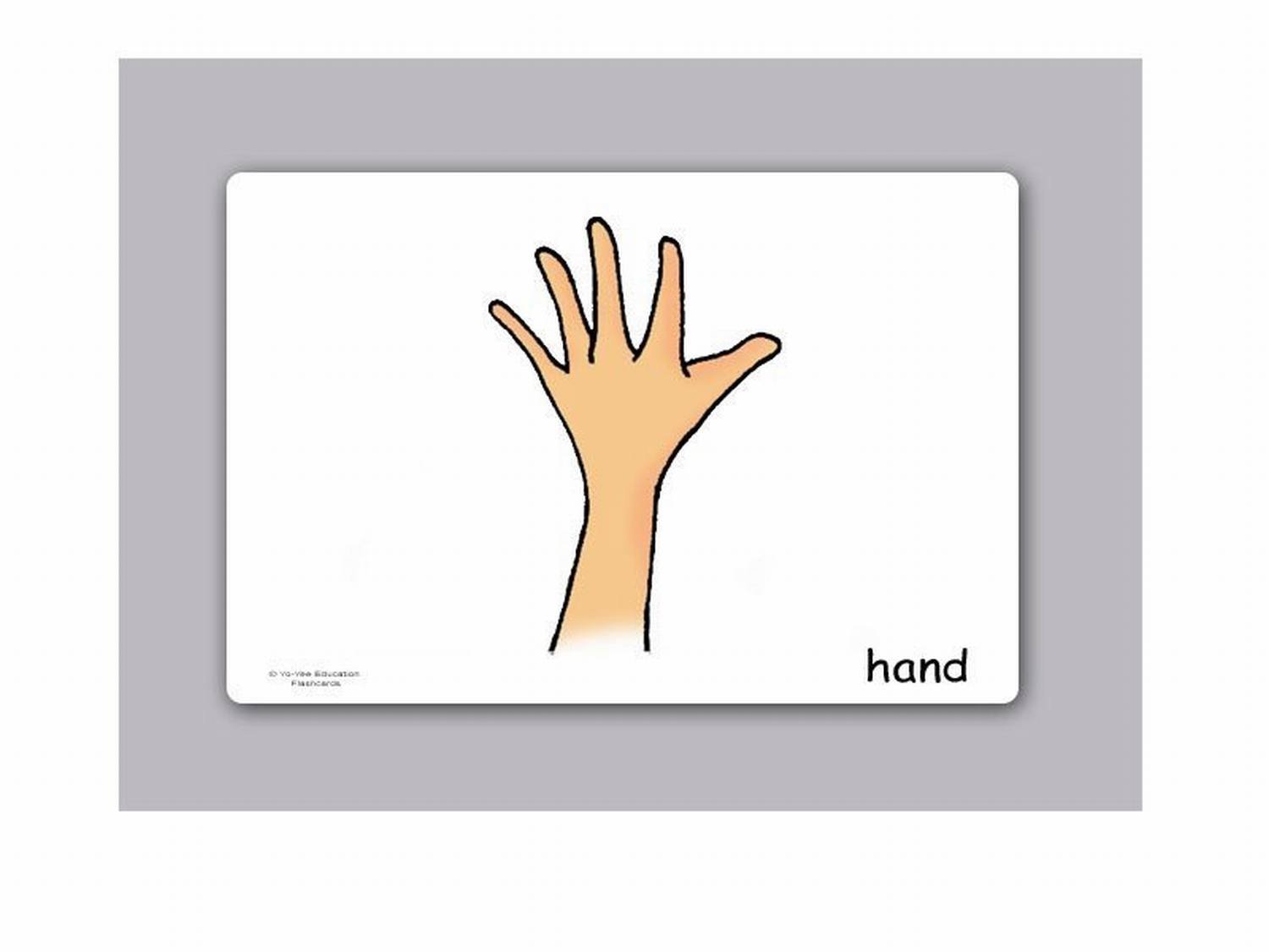 Body Parts Flash Cards & Bingo Game Set - English Vocabulary Learning Cards for Babies, Toddlers & Kids (5.83×8.27in) - Perfect for Homeschooling, Classroom & Early Childhood Education