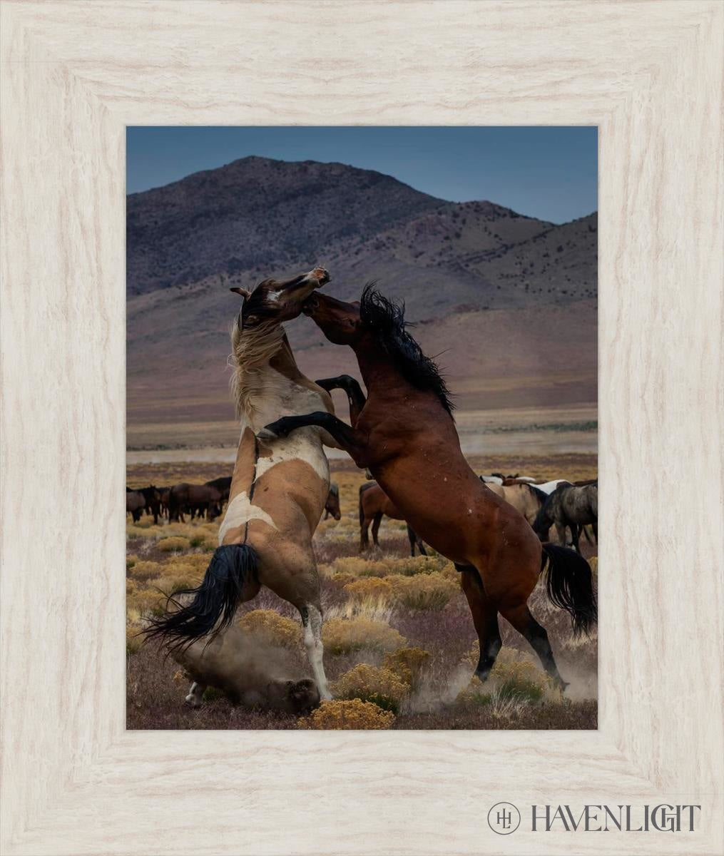 Desert Duel 1 by Greg Sargent - Western Adventure Novel for Adults | Perfect for Book Clubs, Gifts & Western Fiction Fans