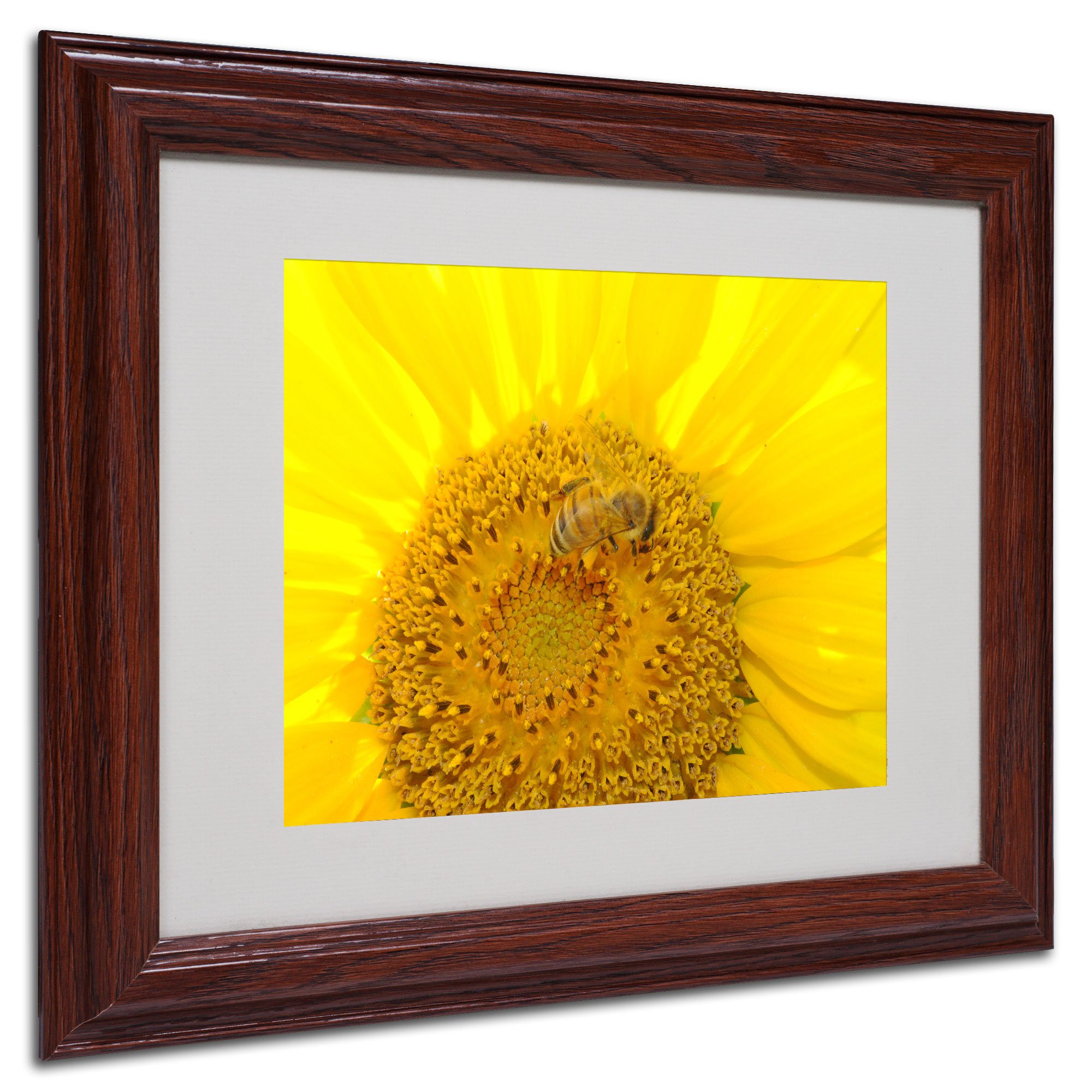 Monica Fleet Honey-Maker Fine Art Print - 11x14 Inch Wood Framed Wall Decor for Kitchen, Dining Room & Farmhouse Style Homes