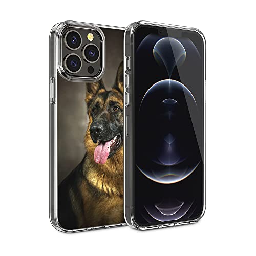 Mighty Loyal Dog German Shepherd Dog